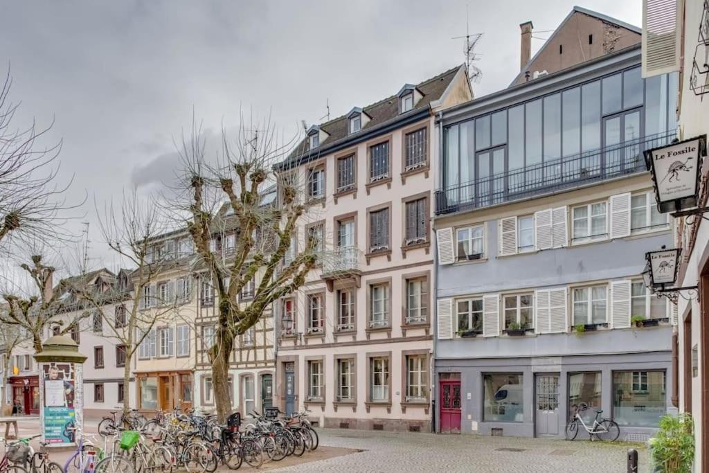شقة Le Loft Des Lumieres - Superbe Loft Lumineux Au Coeur De La Krutenau ستراسبورغ المظهر الخارجي الصورة